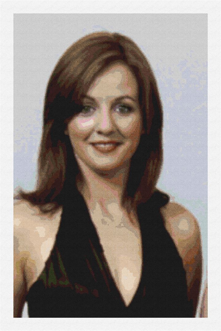 Custom Needlepoint Canvas Kit NeedlePaint