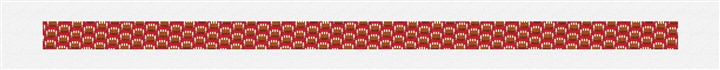 Custom Needlepoint Belt