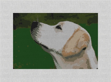 Custom Needlepoint Kit Canvas
