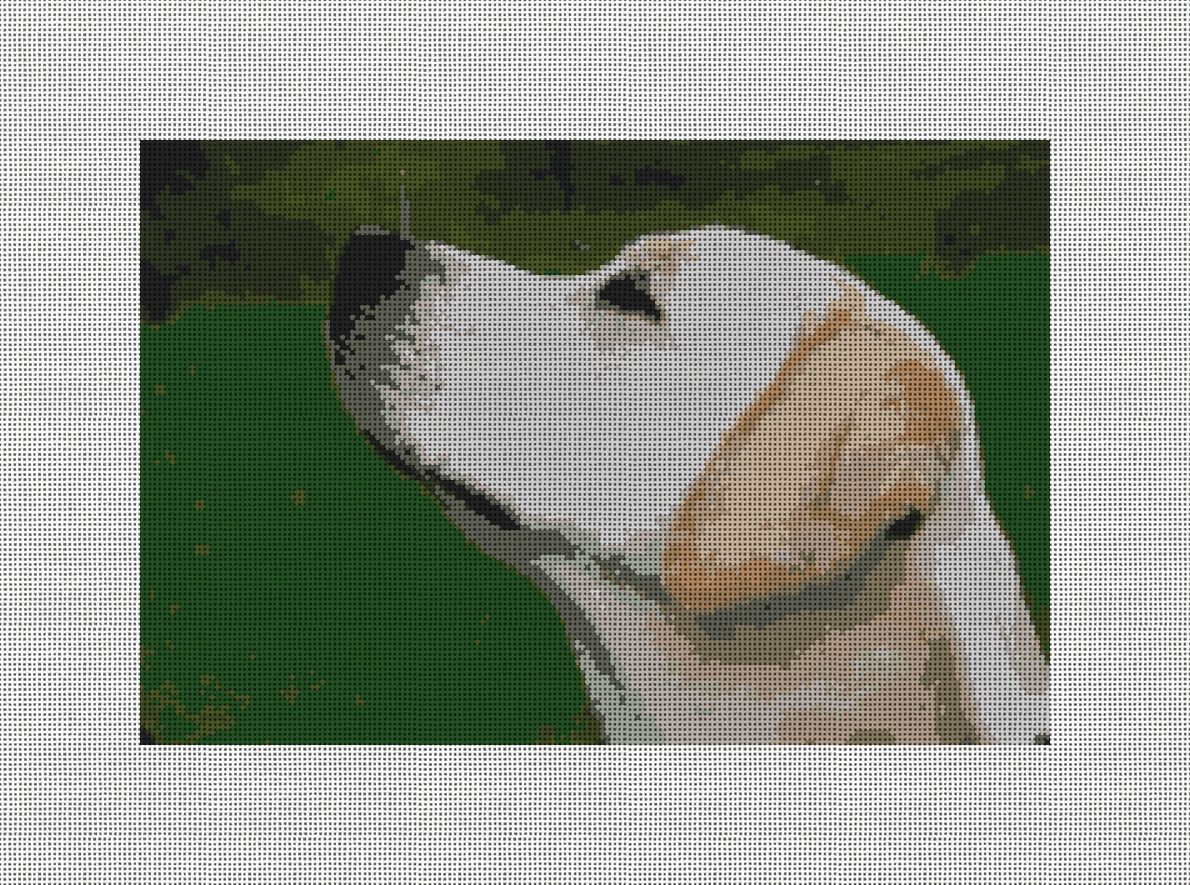 Custom Needlepoint Kit Canvas