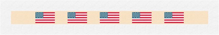 American Flag Needlepoint Dog Collar Kit