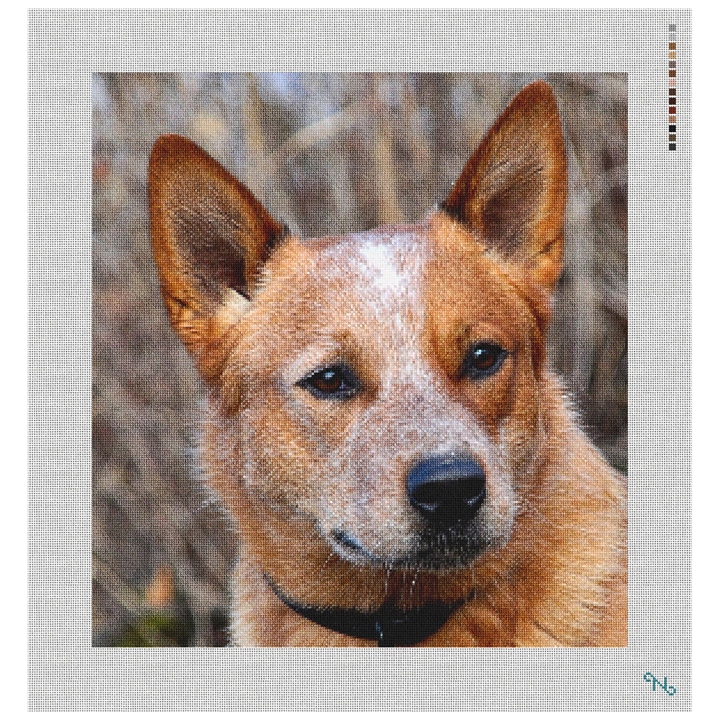 Australian Cattle Dog Needlepoint Kit Stitched Preview