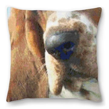 Basset Hound Needlepoint Pillow