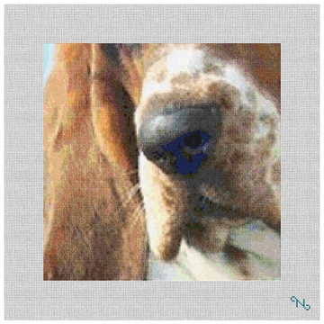 Basset Hound Needlepoint Pillow Kit Stitched Preview