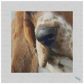 Basset Hound Needlepoint Pillow Kit