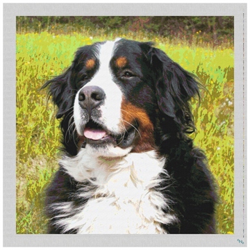 Bernese Mountain Dog Needlepoint Pillow Kit Stitched Preview