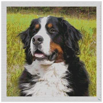 Bernese Mountain Dog Needlepoint Pillow Kit