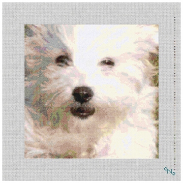 Bichon Frise Needlepoint Pillow Kit Stitched Preview
