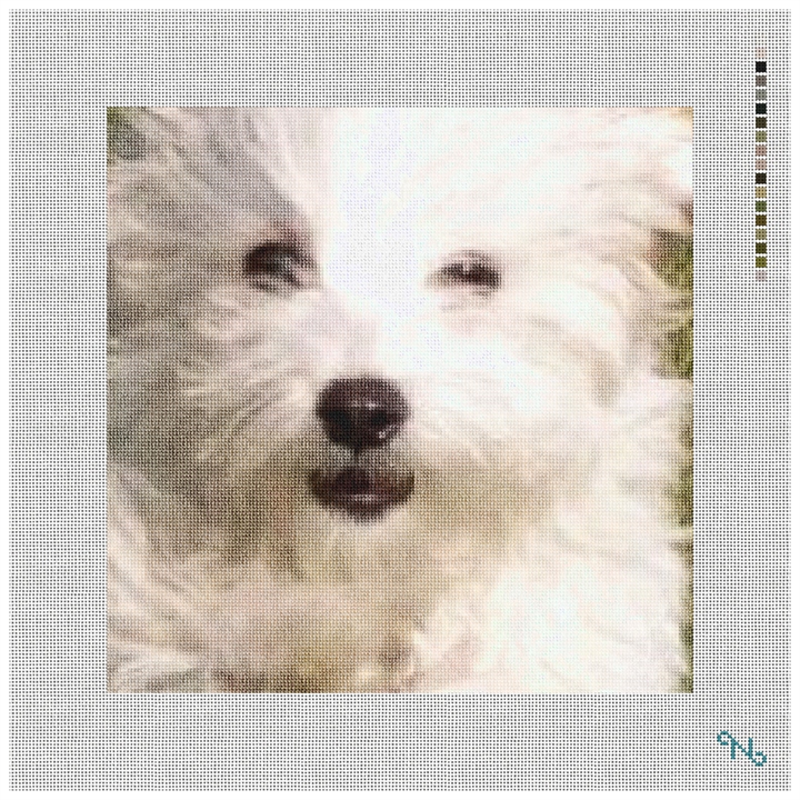 Bichon Frise Needlepoint Pillow Kit Stitched Preview