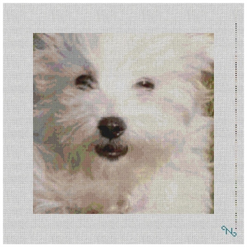 Bichon Frise Needlepoint Pillow Kit