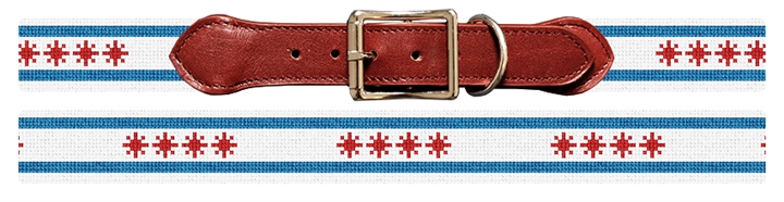 Big Chicago Flag Needlepoint Dog Collar