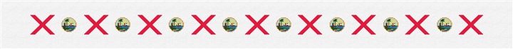 Big Florida Flag Needlepoint Belt Kit