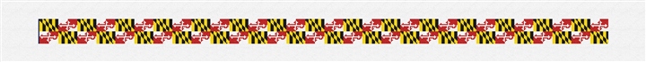 Big Maryland Flag Needlepoint Belt Kit