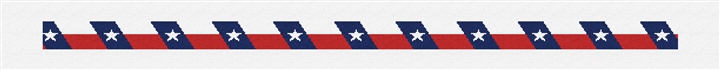 Big Texas Flag Needlepoint Belt Kit