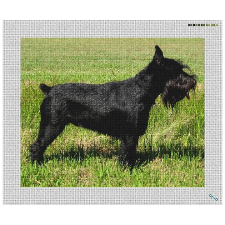 Black Schnauzer Needlepoint Kit Stitched Preview