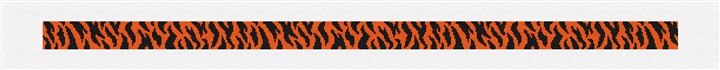 Black Tiger Stripes Needlepoint Belt Kit