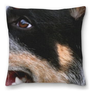 Blue Heeler Needlepoint Pillow