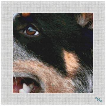 Blue Heeler Needlepoint Pillow Kit Stitched Preview