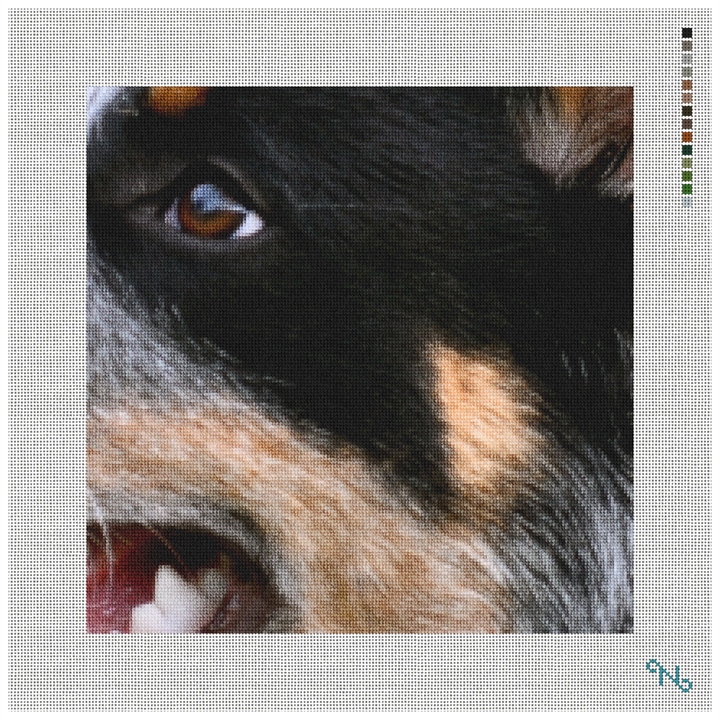 Blue Heeler Needlepoint Pillow Kit Stitched Preview