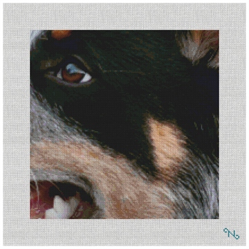 Blue Heeler Needlepoint Pillow Kit