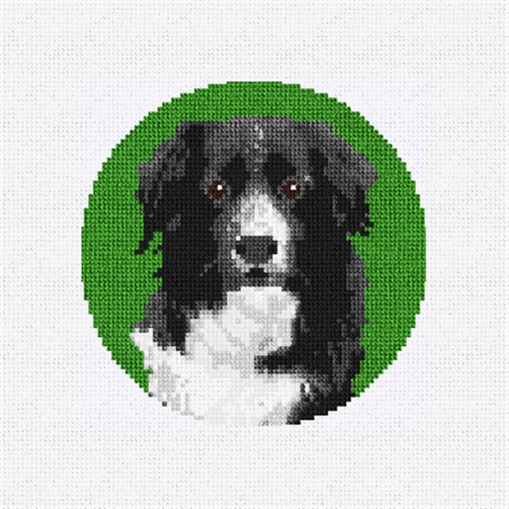 Border Collie Christmas Needlepoint Ornament Kit