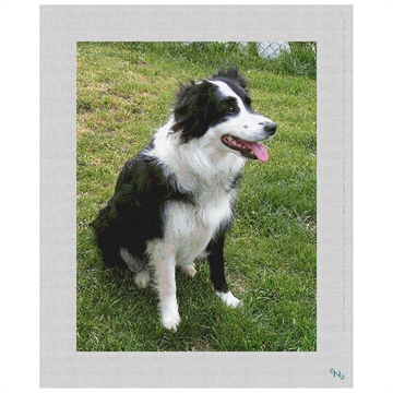 Border Collie Needlepoint Kit Stitched Preview