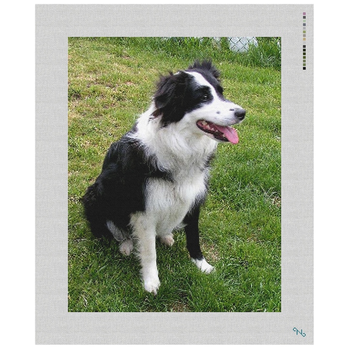 Border Collie Needlepoint Kit Stitched Preview