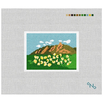 Boulder Flat Irons Needlepoint Card Wallet Kit Stitched Preview
