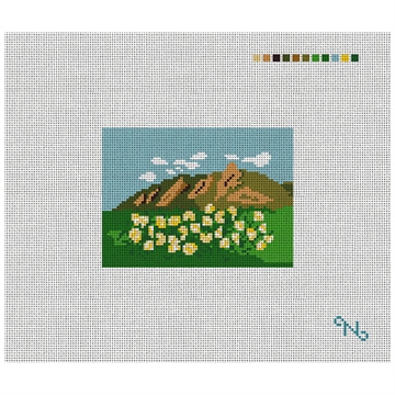 Boulder Flat Irons Needlepoint Card Wallet Kit