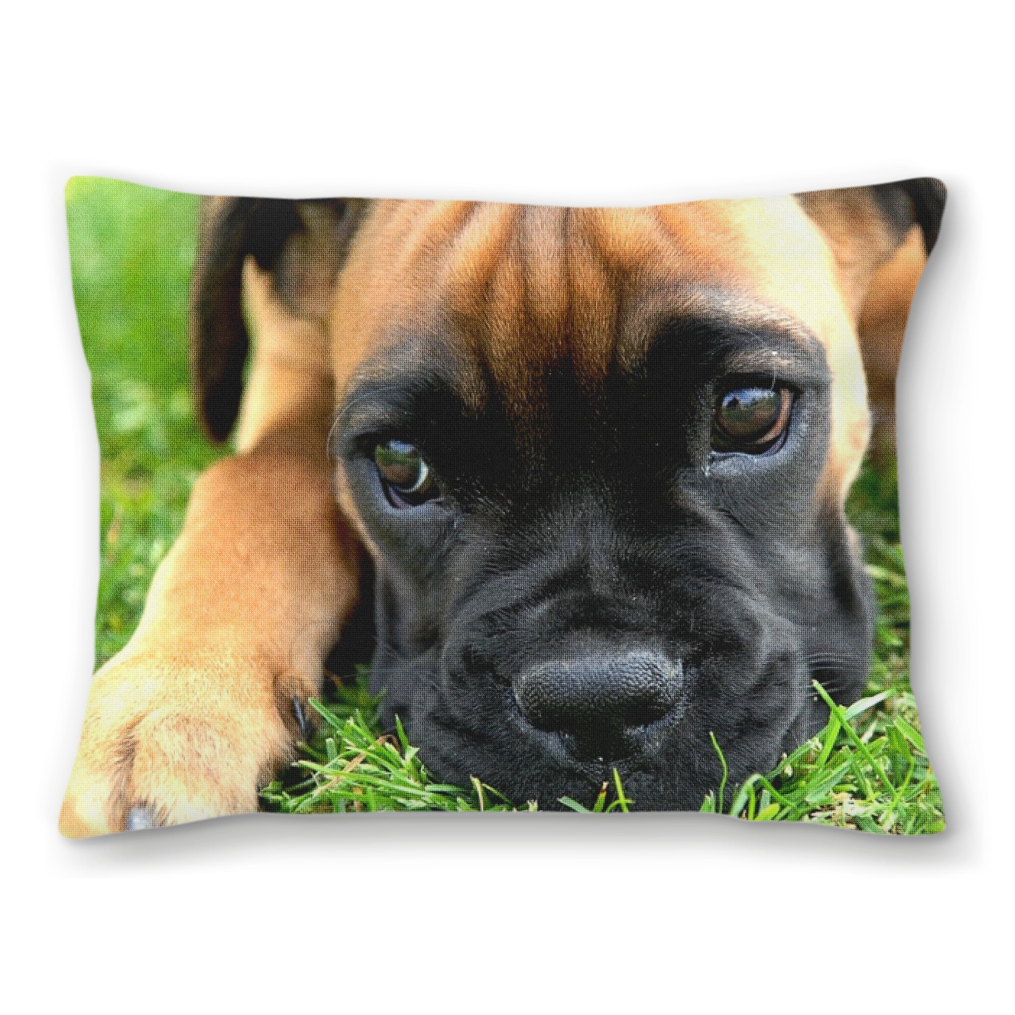 Boxer Pup Needlepoint Pillow