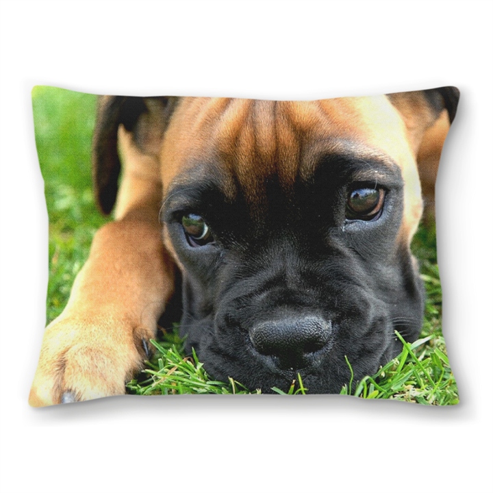 Boxer Pup Needlepoint Pillow 