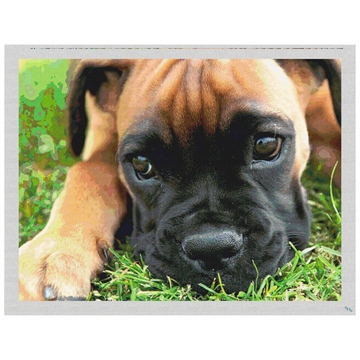 Boxer Pup Needlepoint Pillow Kit Stitched Preview