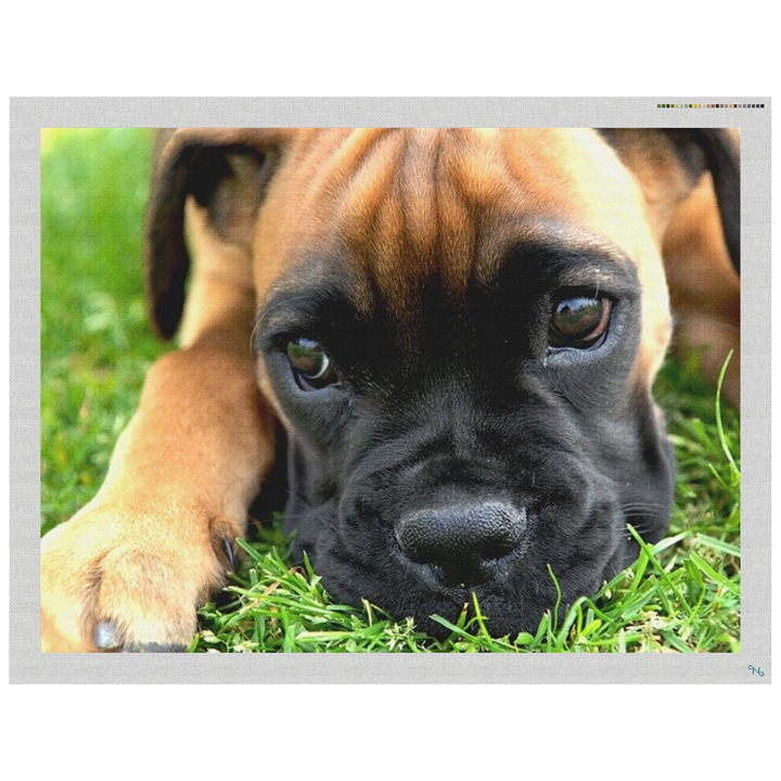 Boxer Pup Needlepoint Pillow Kit Stitched Preview