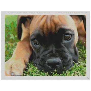 Boxer Pup Needlepoint Pillow Kit