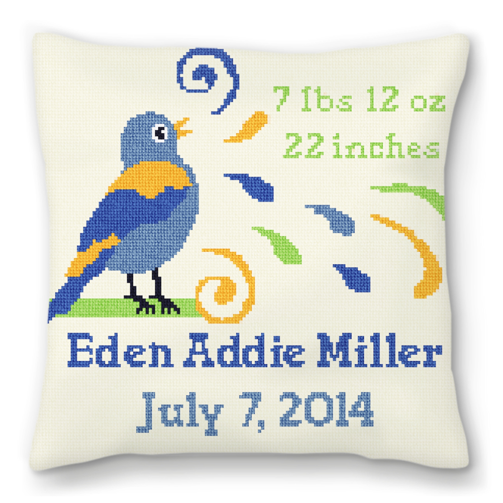 Boys Bird Bath Personalized Baby Pillow