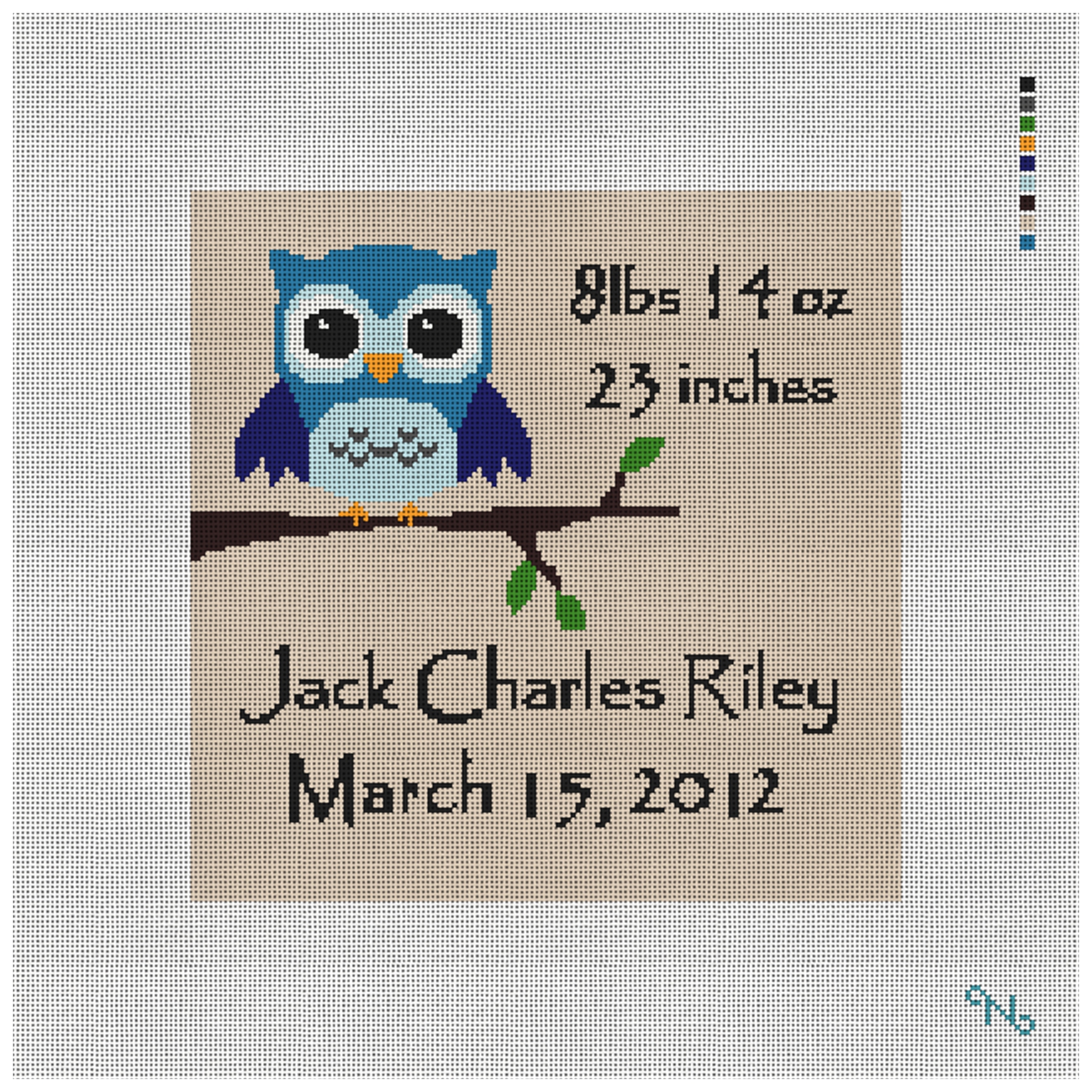Boys Evergreen Birth Needlepoint Kit