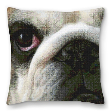 Bulldog Needlepoint Pillow
