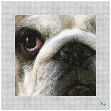 Bulldog Needlepoint Pillow Kit Stitched Preview