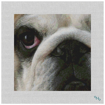 Bulldog Needlepoint Pillow Kit