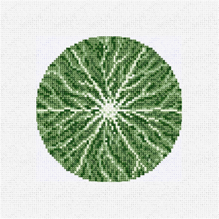 Cabbage Leaf Needlepoint Ornament Kit