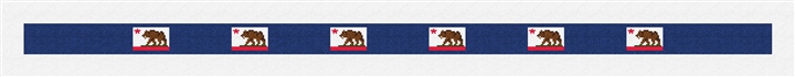 California Flag Needlepoint Belt Kit