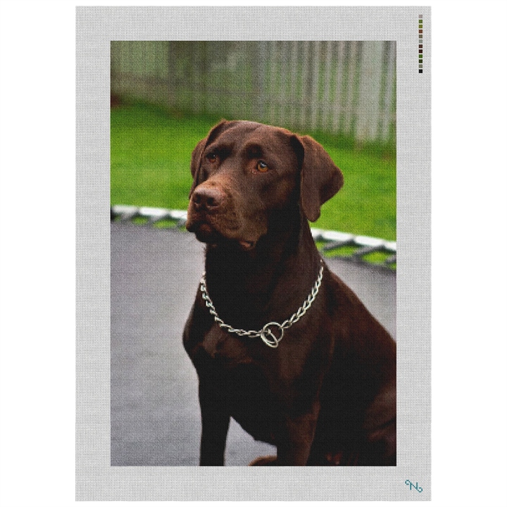 Chocolate Lab Needlepoint Kit Stitched Preview