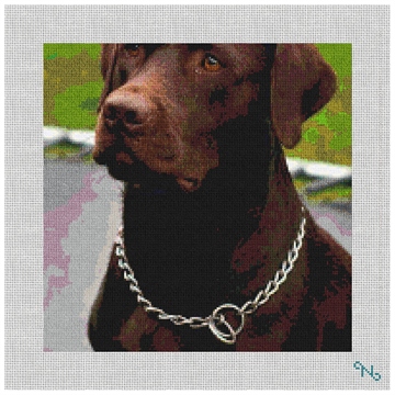 Chocolate Lab Needlepoint Pillow Kit Stitched Preview