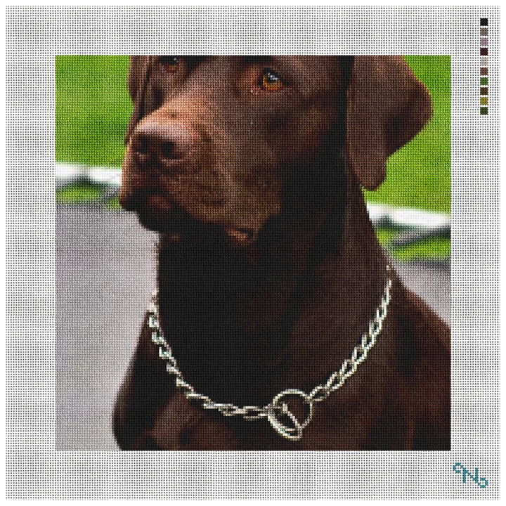 Chocolate Lab Needlepoint Pillow Kit Stitched Preview