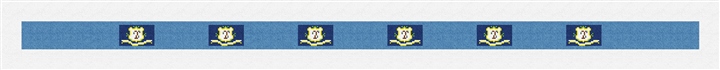 Connecticut Flag Needlepoint Belt Kit