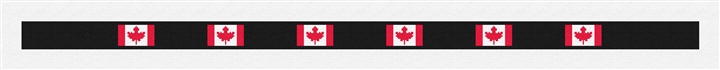 Custom Needlepoint Belt