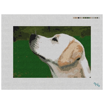 Custom Needlepoint Canvas Kit Stitched Preview