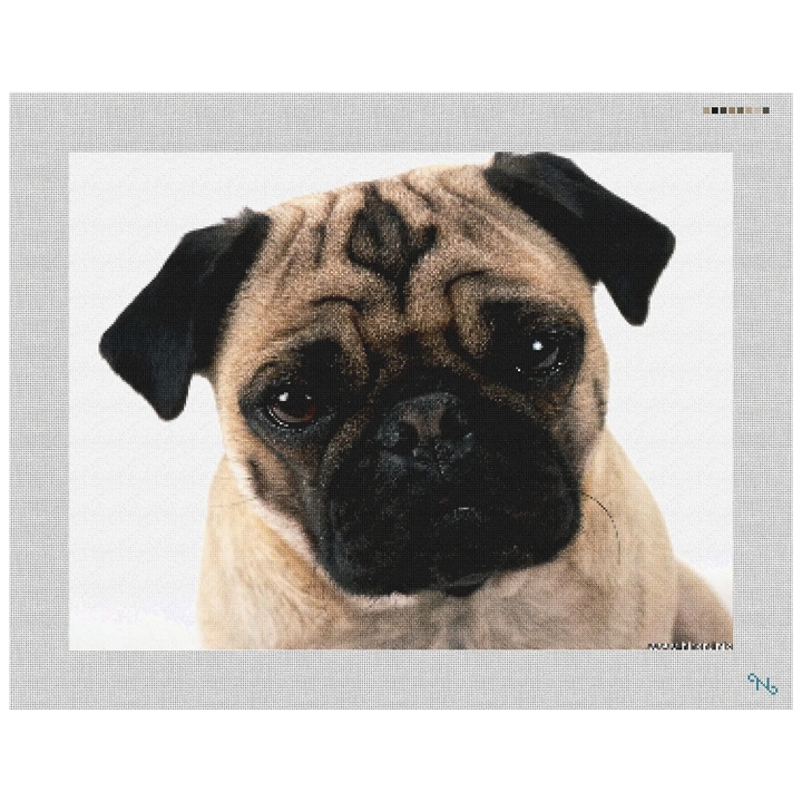 Cute Pug Needlepoint Kit Stitched Preview