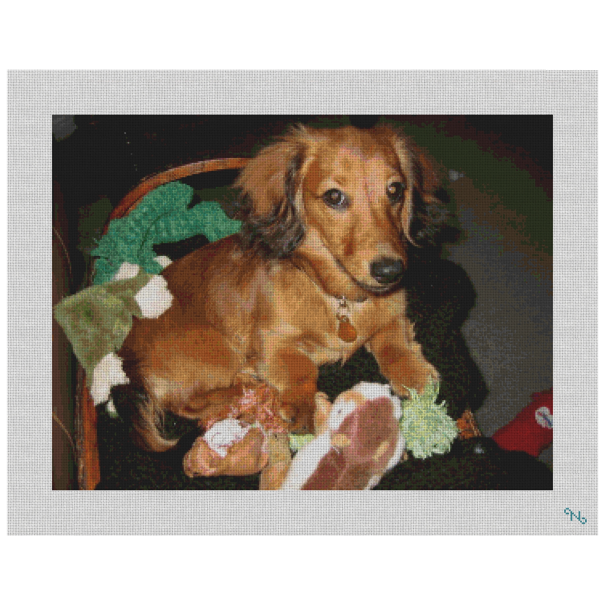 Dachshund Needlepoint Kit