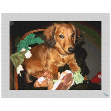 Dachshund Needlepoint Kit Stitched Preview